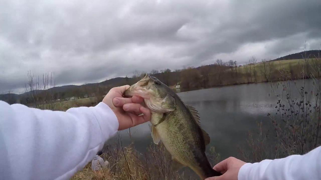 Slaming The Bass On The Chaterbait Slaming The Bass On The Chaterbait