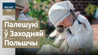 ДА АПОШНЯГА жывога палешука рэж. Анастасія Карповіч, Беларусь, 2023 г. дакументальныя фільмы, Белсат