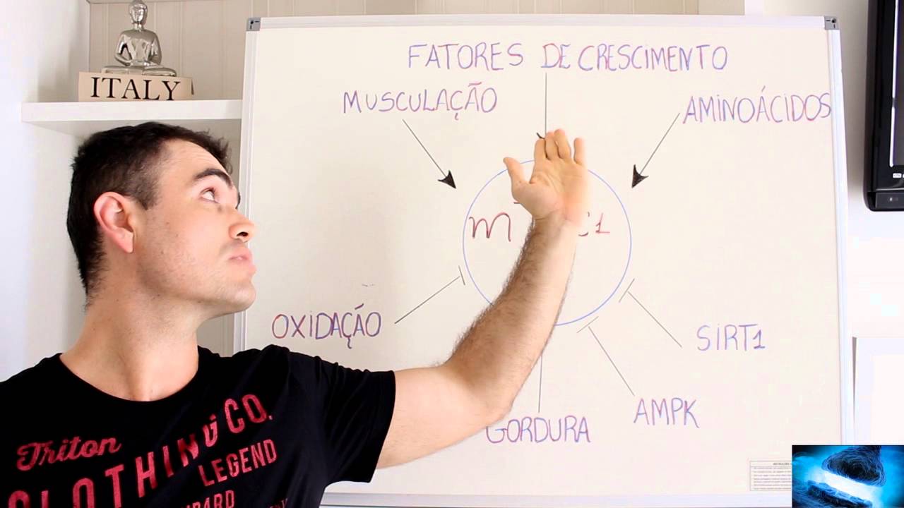 HIPERTROFIA MUSCULAR  via m thor!