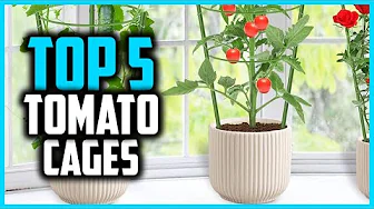 ✅ Top 5 Best Tomato Cages in 2025