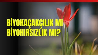 Biyokaçakçılık Mı Biyohırsızlık Mı?