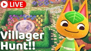 Come with me on a villager hunt! pspspspspsps Tangy // Animal Crossing Livestream