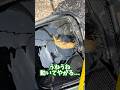 砂泥底で釣りをするとあの高級食材が釣れる #shorts #釣り