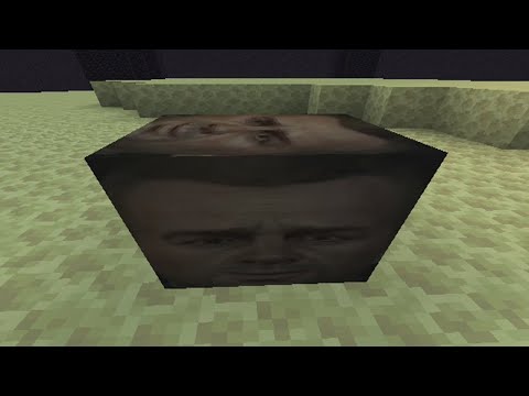 Bear Block