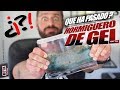 SALVAMOS A LAS HORMIGAS DEL HORMIGUERO DE GEL  ¿Qué le ha pasado?