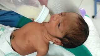 नवजात शिशु को oral feeding कैसे कराये.@deepakmauryamedicalknowledge #newborn #oralfeeding