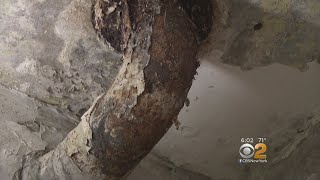 NYCHA Lead Poisoning Revelations Trigger Political Blame Game
