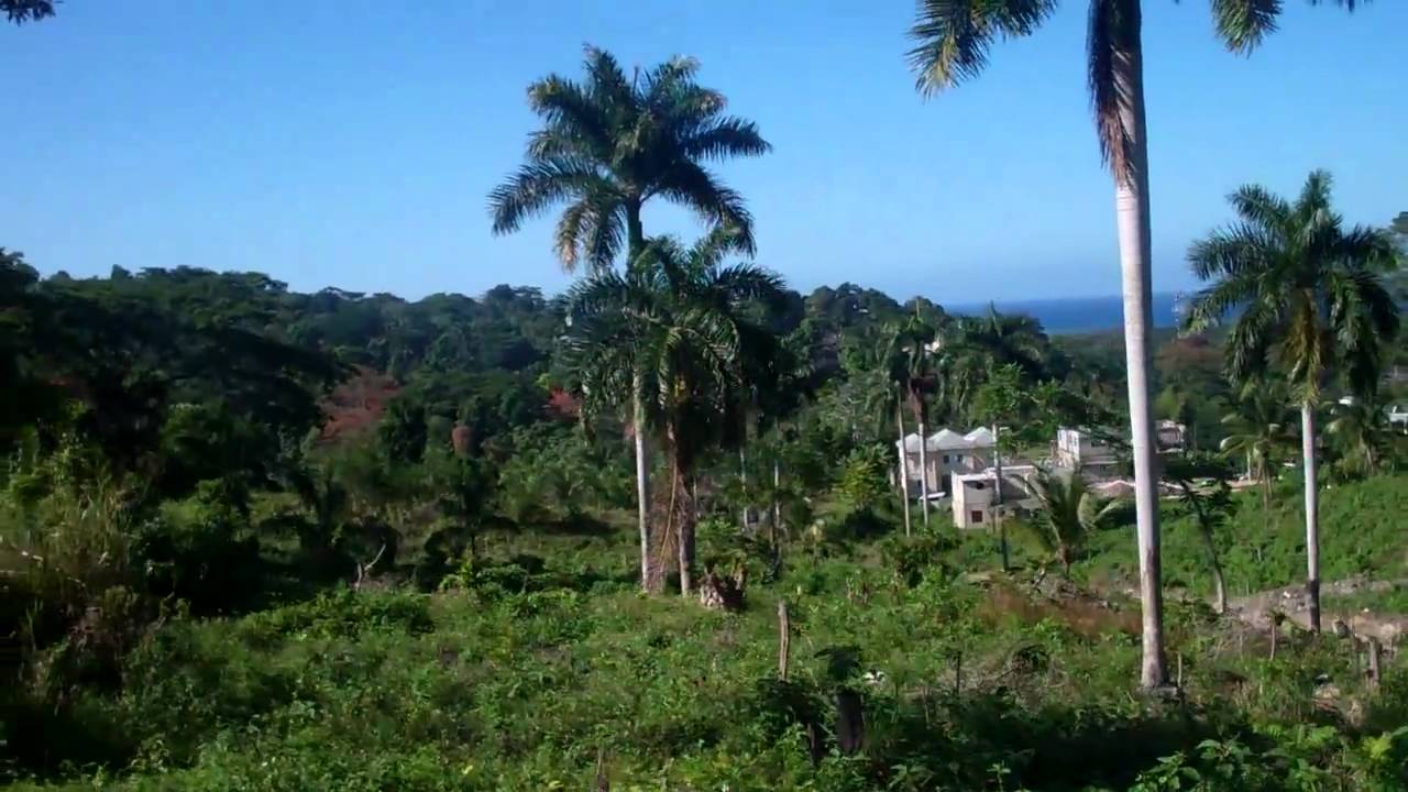 Lots for Sale Napa Heights SubDivision Tour 4 of 6 YouTube