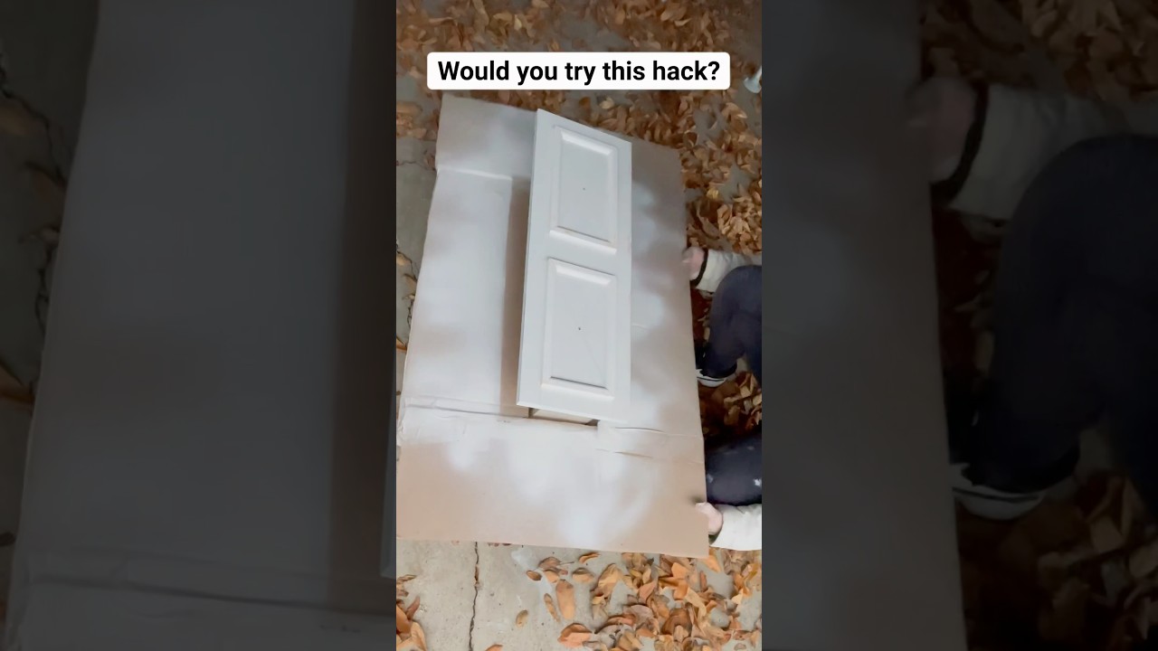 Would you try this FURNITURE flipping HACK??