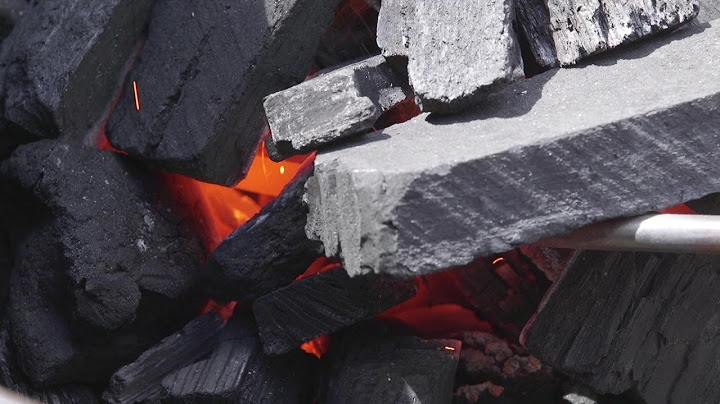 Apa perbedaan lump charcoal dan briquettes