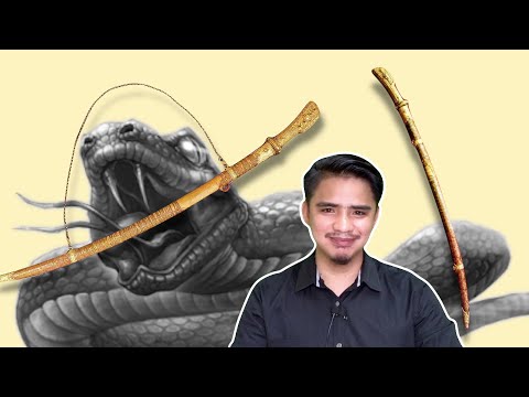 Video: Adakah ular utama pengguna?