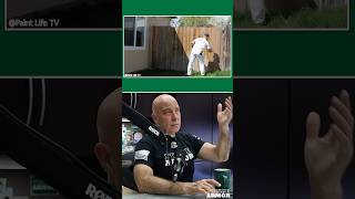 More Stain, Less Waste - Watch This
