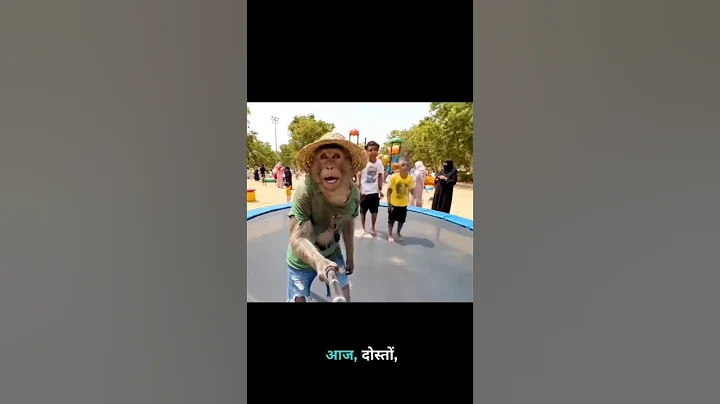 monkey vlog short Bandar vlog