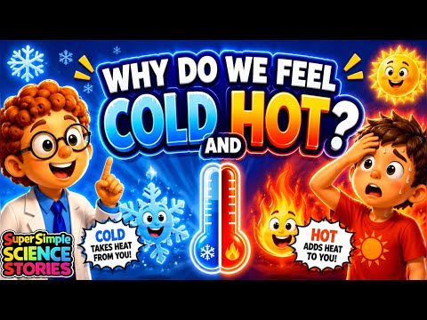 Why Do We Feel Cold and Hot? 🥶🔥 Super Simple Science for kids 