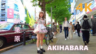 【4k】Tokyo walk-Akihabara🎁秋葉原を散歩