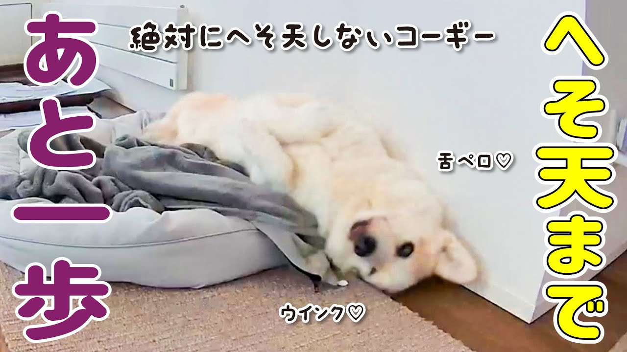 maxresdefault.jpg