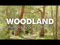 Landscape Photography in my Local Woodland on a Sunny Day