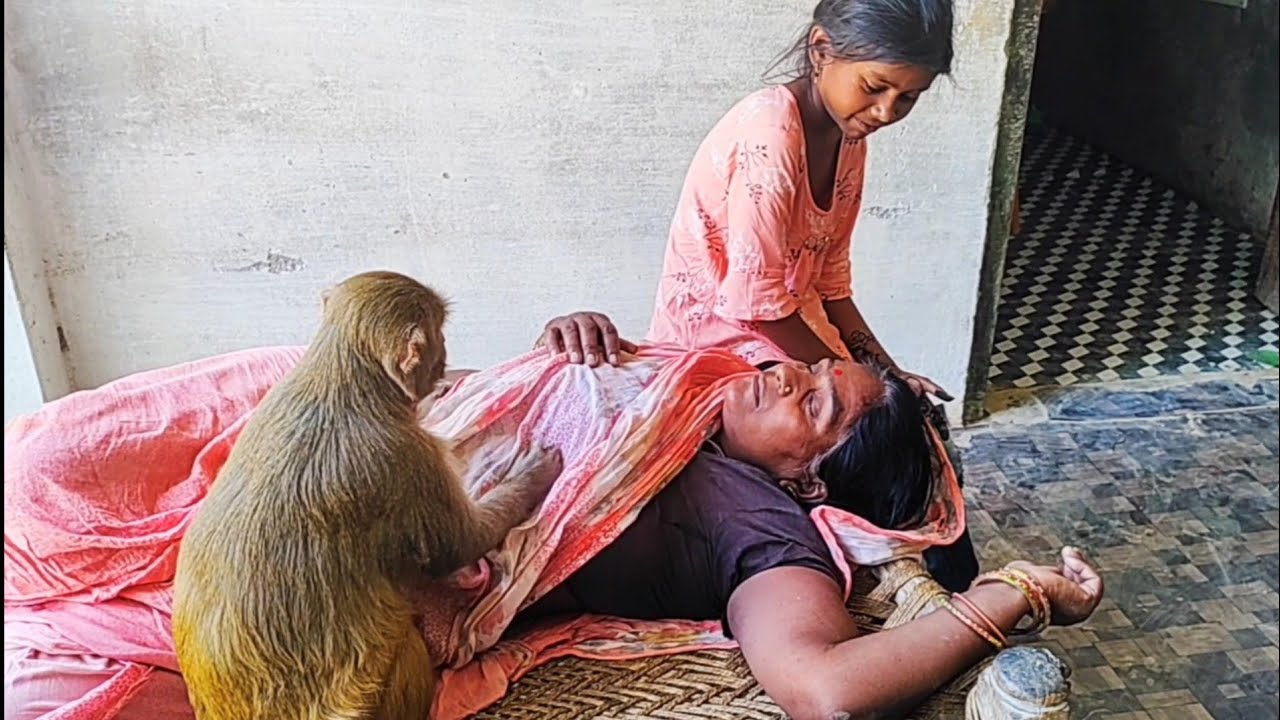 मंकी रानी सभी वीडियो।। Monkey Rani all videos ।। Funny, Comedy
