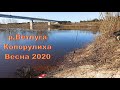 р.Ветлуга.Копорулиха. Начинает поклёвывать синец. Весна 2020.