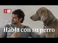 La historia del hombre que habla con su perro | Videos Semana