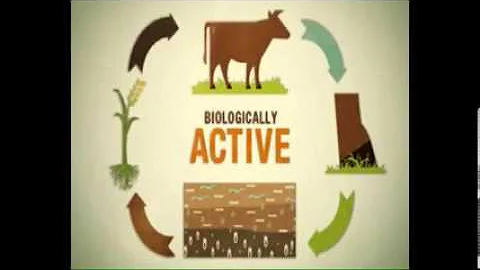 Jon Welling and Holistic planned grazing clip