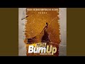 Burn Up (feat. Gyarison)