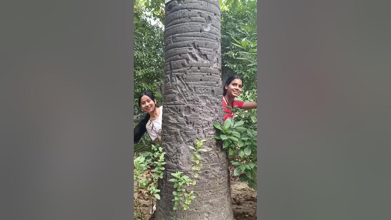 Ek Main Hu Ek Tu H 🌸#shorts #funny #youtubeshorts #ytshorts YouTube Ek Main Hu Ek Tu H 🌸#shorts #funny #youtubeshorts #ytshorts YouTube