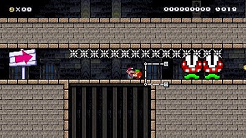 Super Mario Maker 2 20 Second Variety Speedrun!