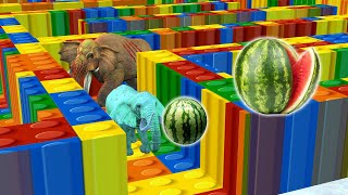 Temple Run Elephant run away from Zombie Elephant Lego Maze | 2 Woolly Mammoths Vs Zombie Elephant screenshot 4