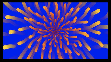 Autonomous Agents - Video Documentation