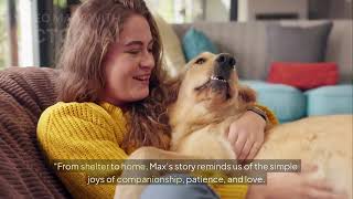 Rescue Dog’s Heartwarming Journey: From Shelter to Forever Home 🐾❤️