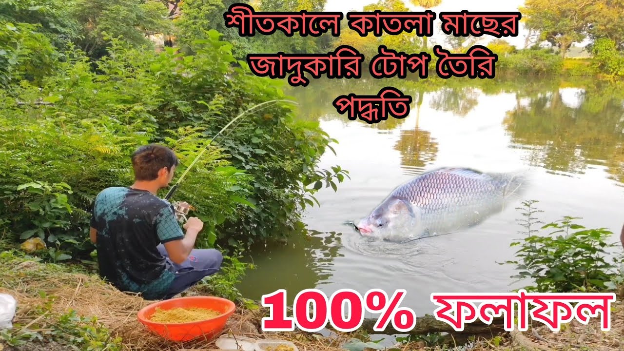 Catla Fish Bait in winter. শীতের সময় কাতলা মাছের টোপ ( প্রমান সহ}