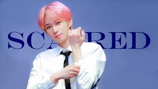 210522 겁나니 SCARED | 피원하모니 테오 직캠 P1Harmony THEO | 강남 팬싸 FANSIGN