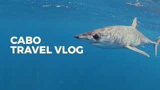 TRAVEL VLOG: Diving Cabo Mexico by emwng 355 views 4 years ago 3 minutes, 55 seconds