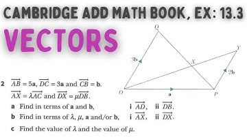 Vector, Cambridge Add Math Book, Exercise 13.3, Q3