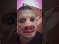 Quando eu tento ser sério… mas meu lado porco entra em ação 🐷😂”