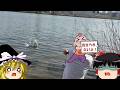 水切り ゆっくり実況