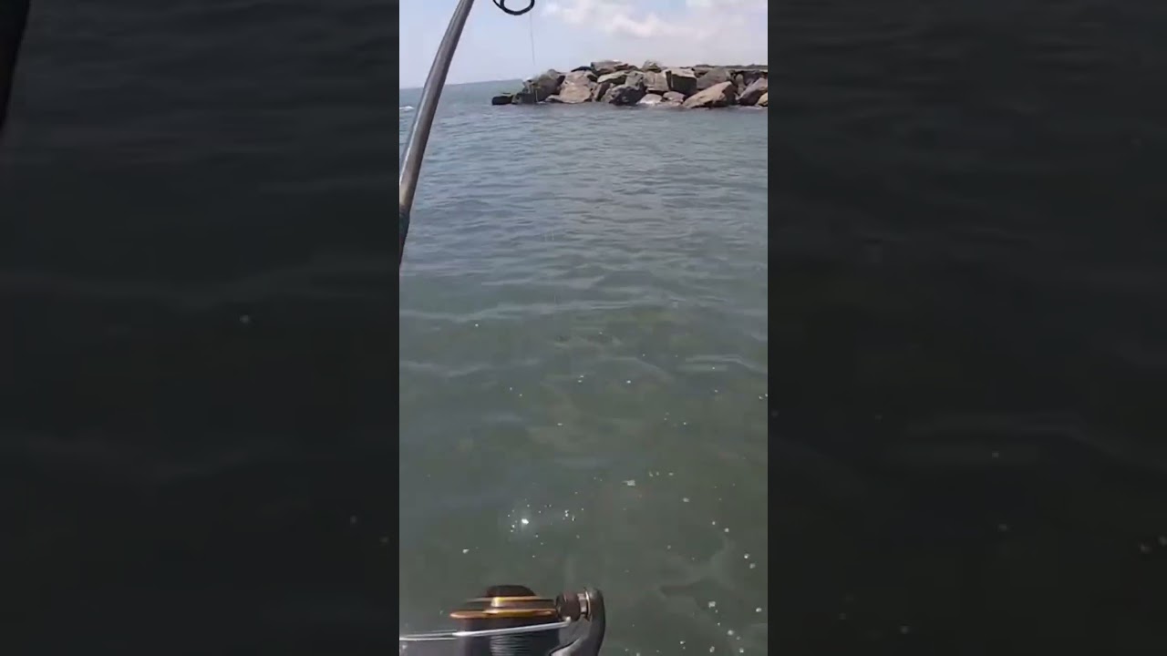 Snook Fishing Stuart, Florida