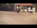 This LEAKED Video Has Finally Been Released to the World...