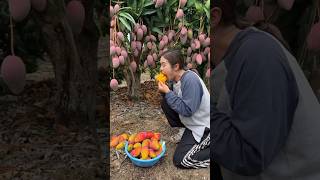 Mango Is Very Tasty And Is Succulent, It Should Be Eaten