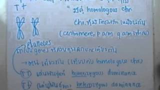 ormBio ver2 : พันธุศาสตร์ ตอน01