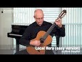 Local Hero - Going Home (easy version) by Mark Knopfler - Danish Guitar Performance - Soren Madsen