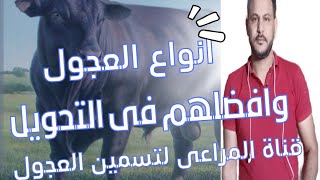 تعرف على  انواع العجول ؟ واختر المناسب لك