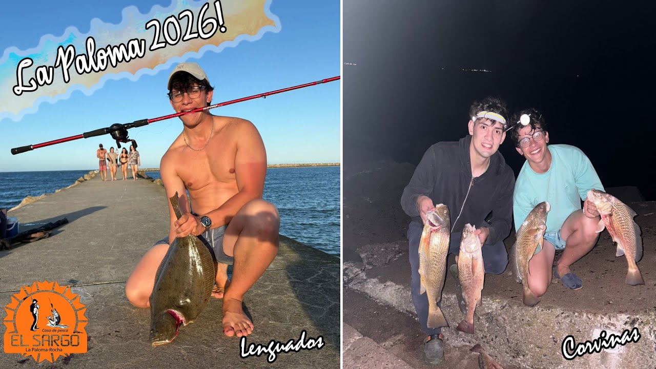 Pesca de Lenguados y Corvinas / La Paloma Rocha!