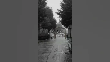 ستوريات اغاني انسى كلشي وغيب عني ستوريات انستا 