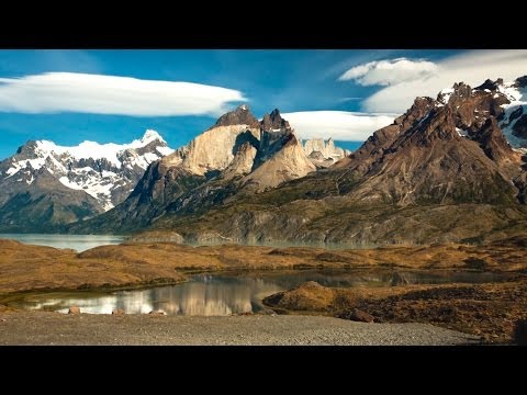 Patagonia Puma Tracking