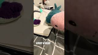 Sharky Jr needs help with math #comedy #funny