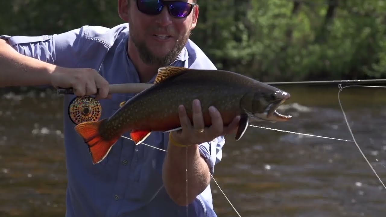 Algoma Walleye on the Fly - Algoma Country