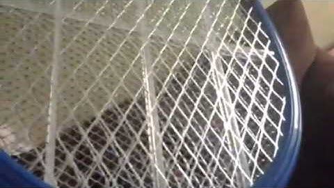 The Original Bug Zapper ( 2750 Volt Model )