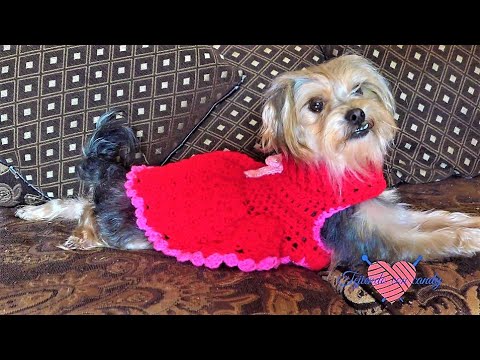 vestido dress for dog heart dress crochet - YouTube